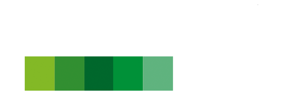 Betterlifekart